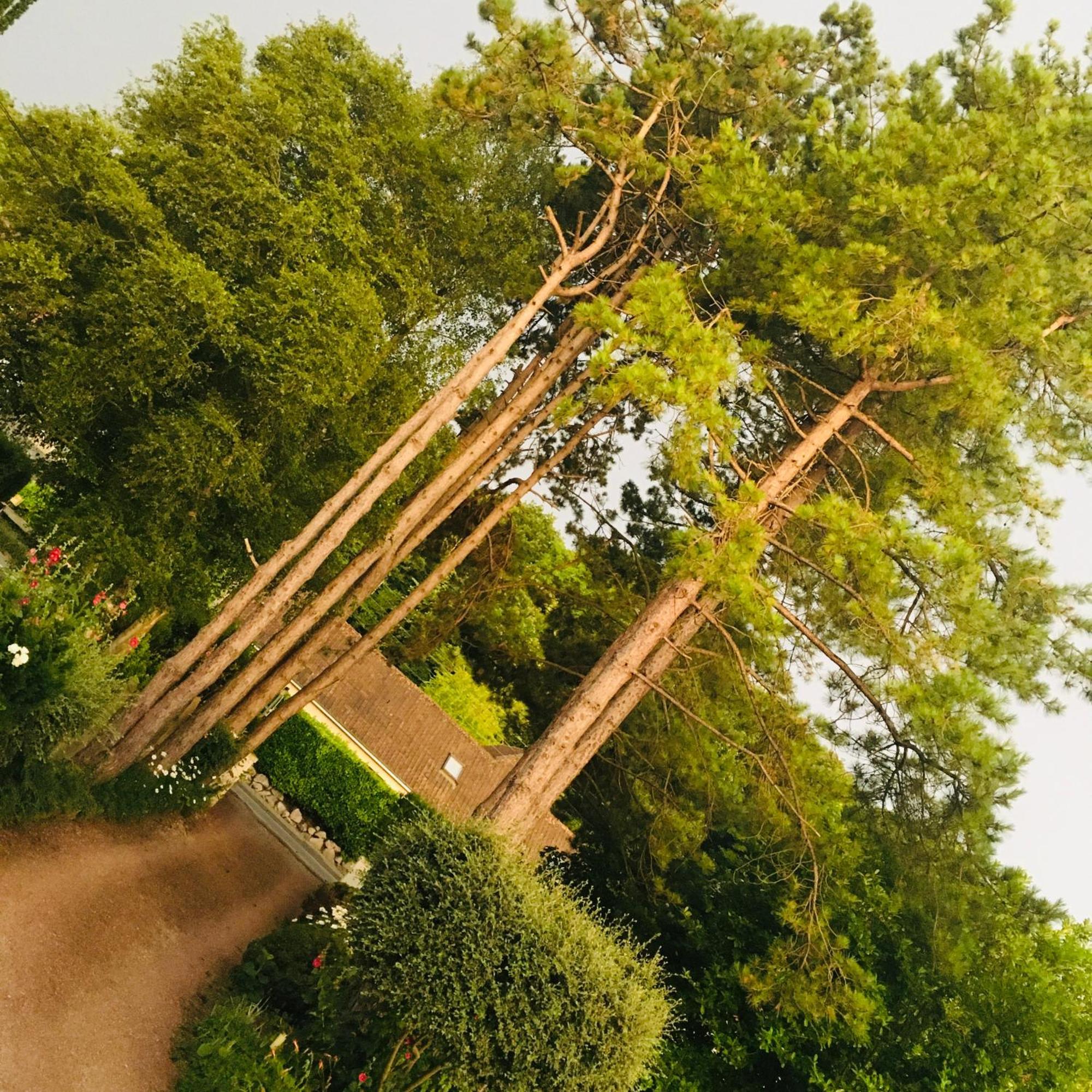 Greenfield Chambres D'Hotes Neufchâtel-Hardelot Zewnętrze zdjęcie